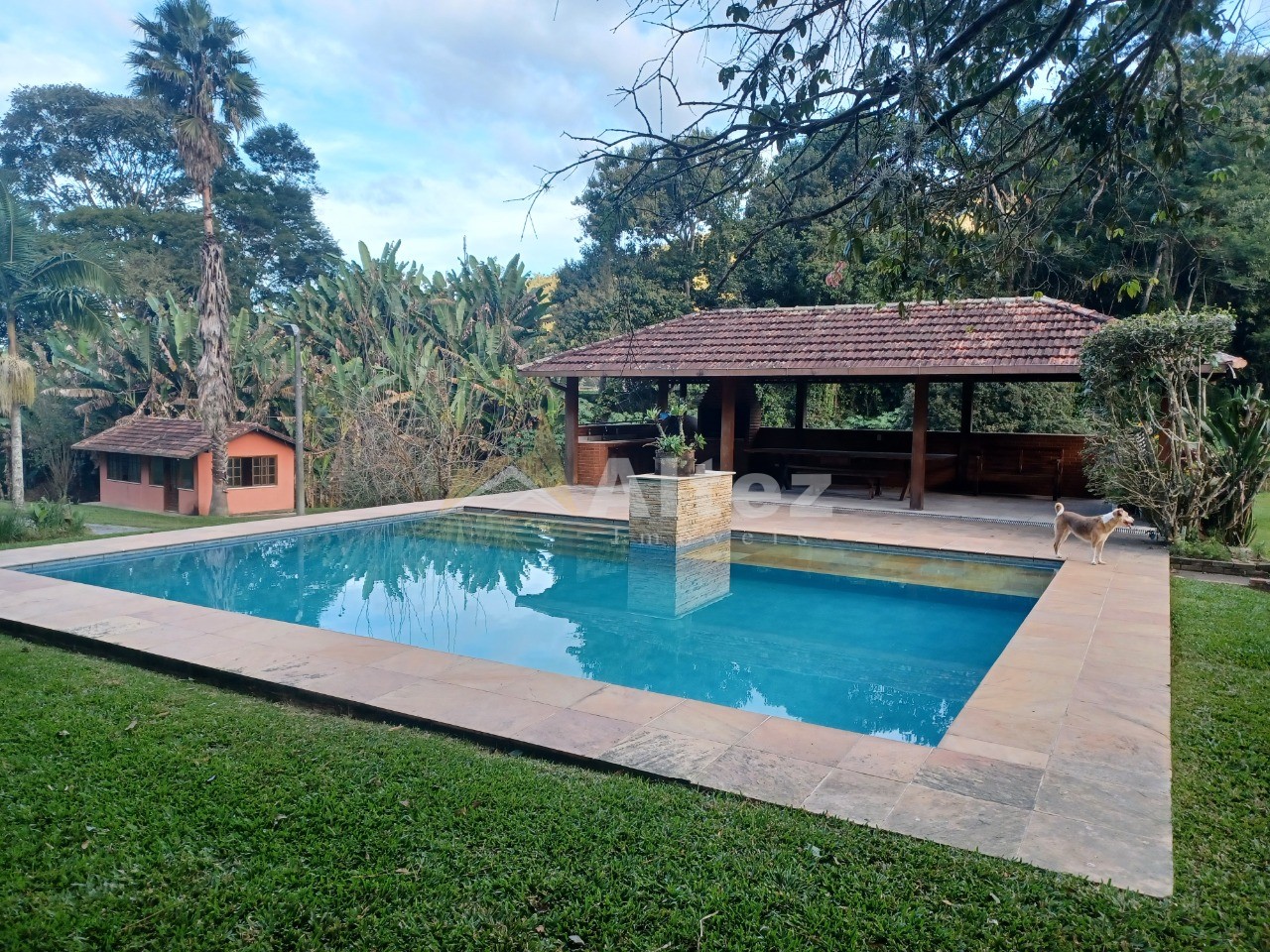 Casa, 6 quartos, 8000 m² - Foto 5