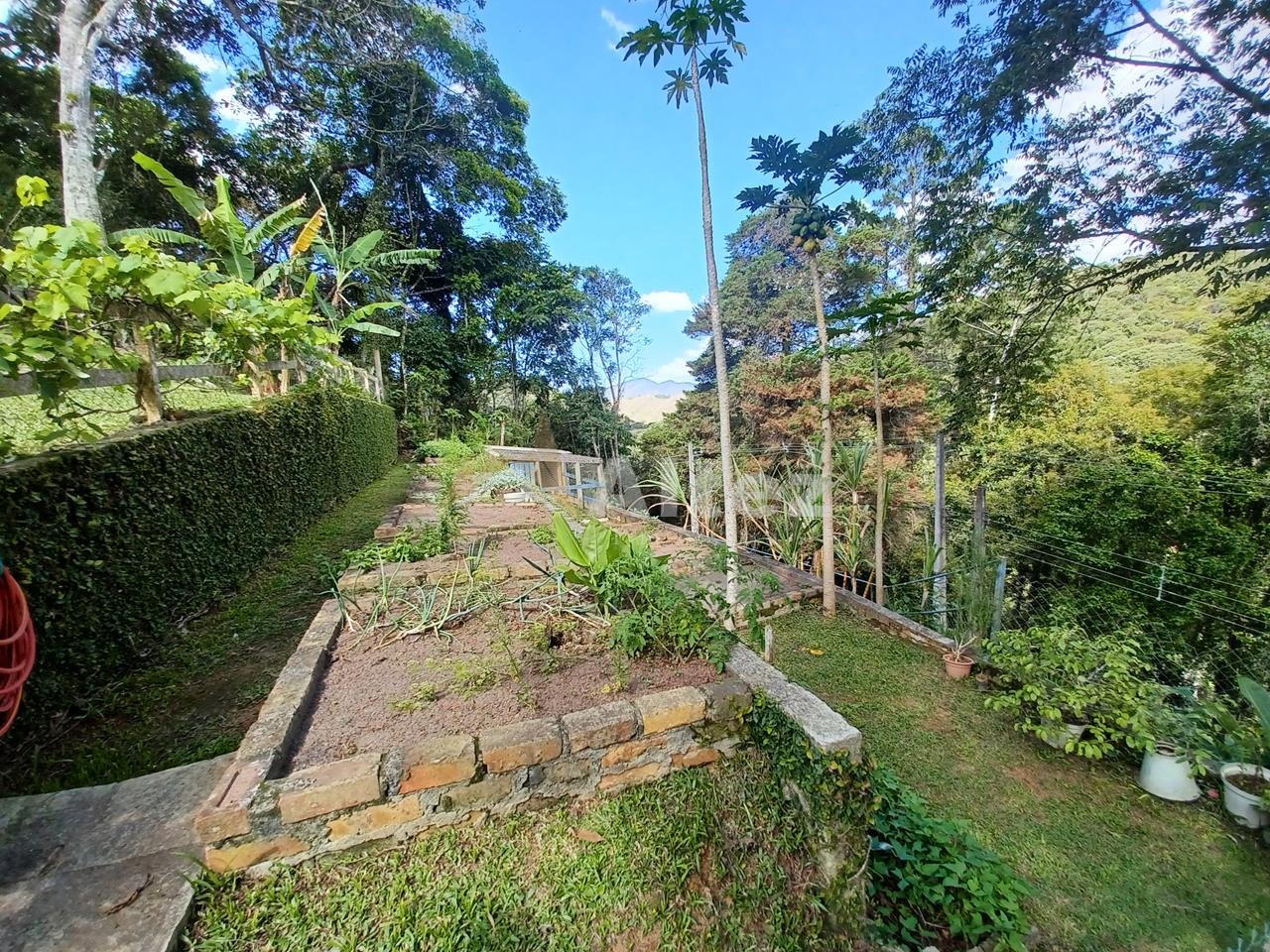 Casa, 4 quartos, 1600 m² - Foto 14