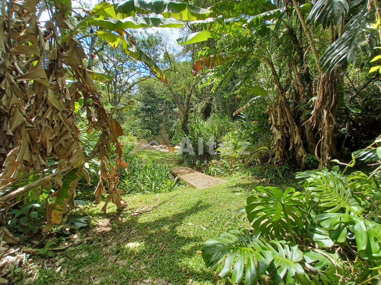 Sítio, 4 quartos, 11 hectares - Foto 6