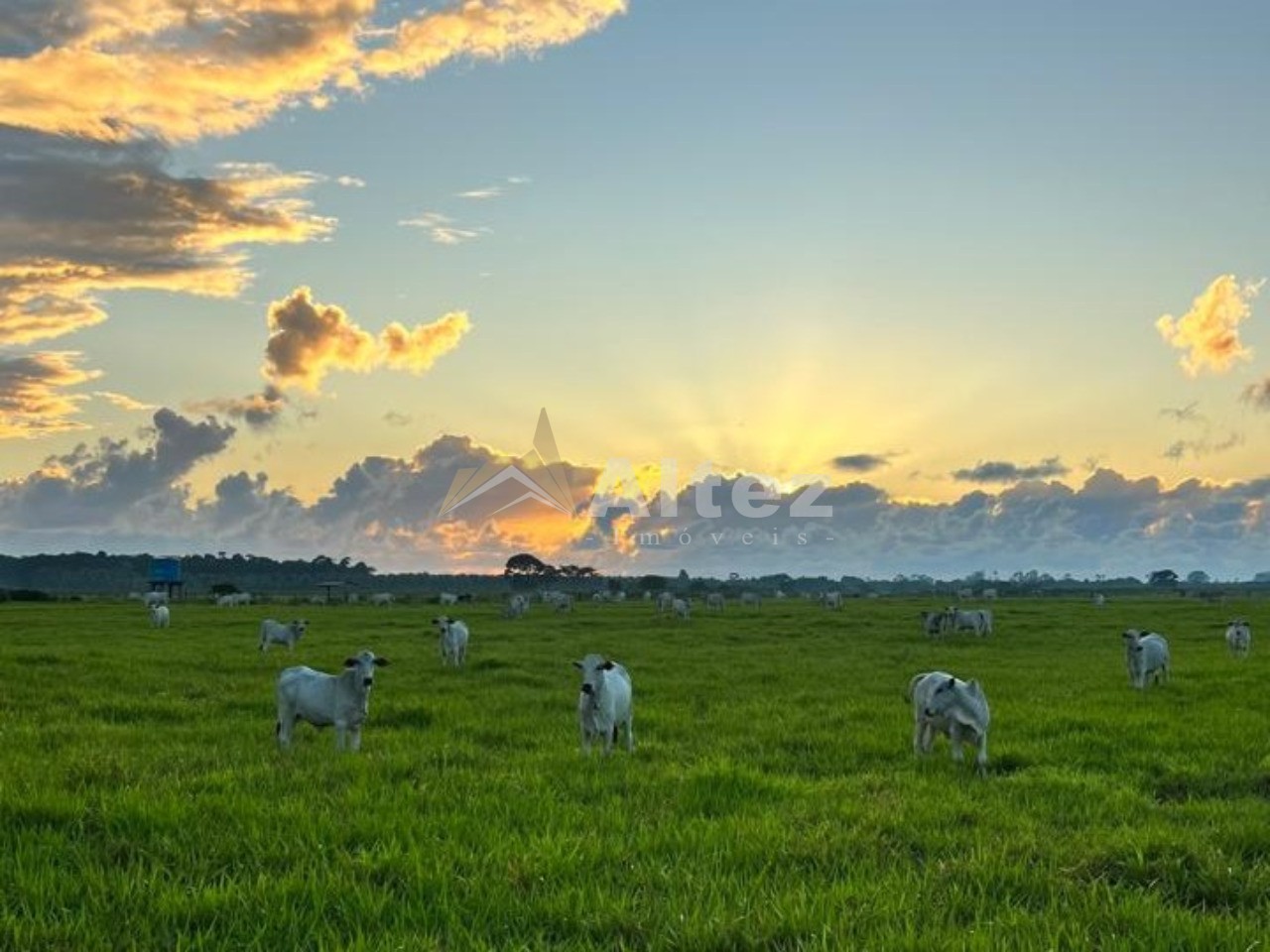 Fazenda, 587 hectares - Foto 8