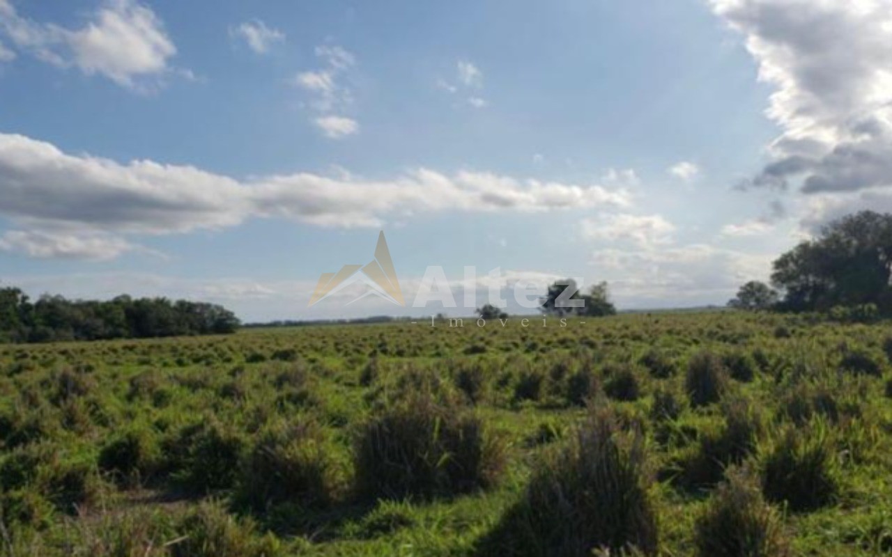 Fazenda, 444 hectares - Foto 6