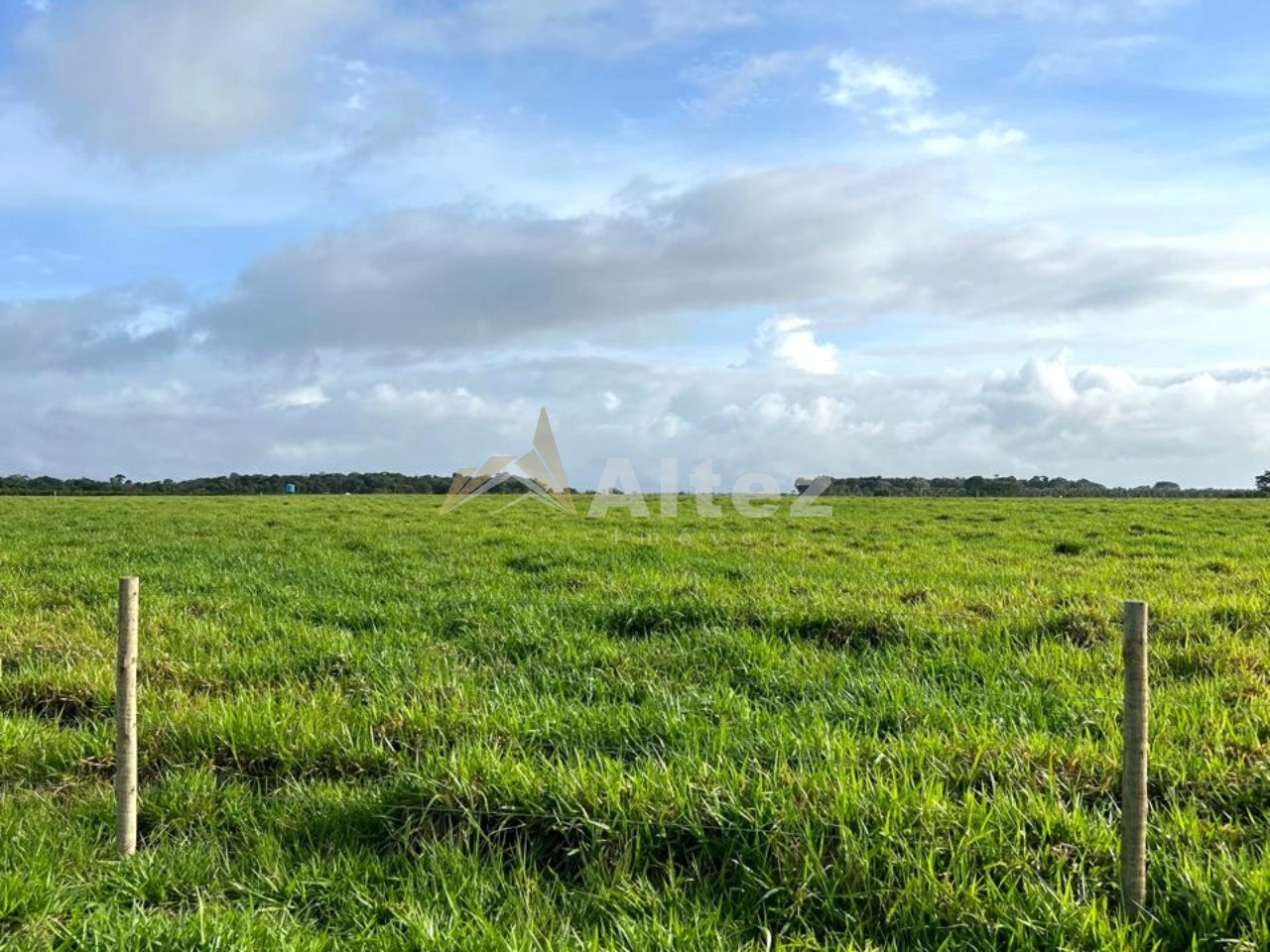 Fazenda, 587 hectares - Foto 3