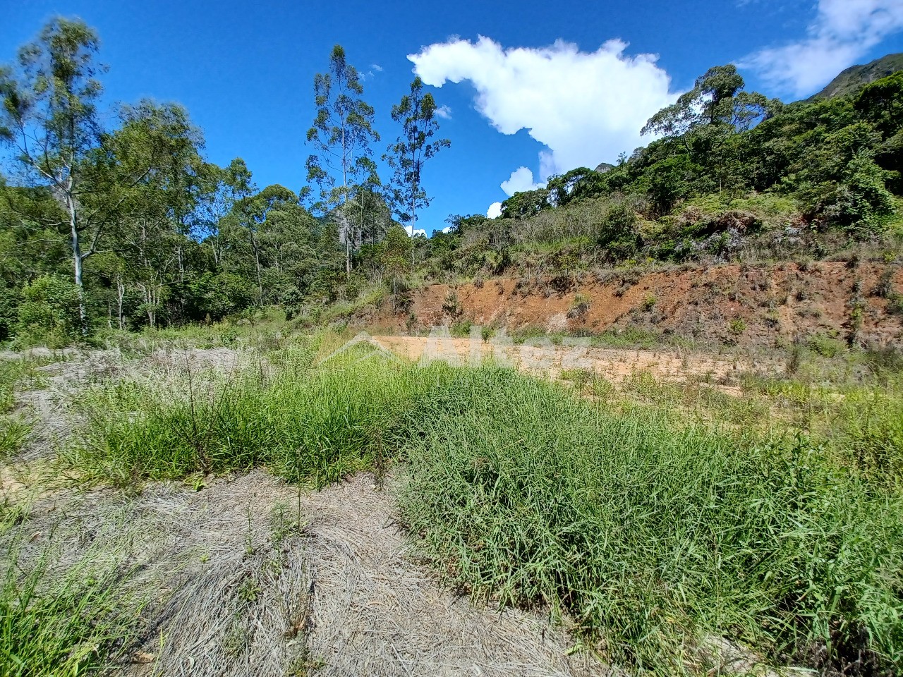 Sítio, 4 quartos, 11 hectares - Foto 46
