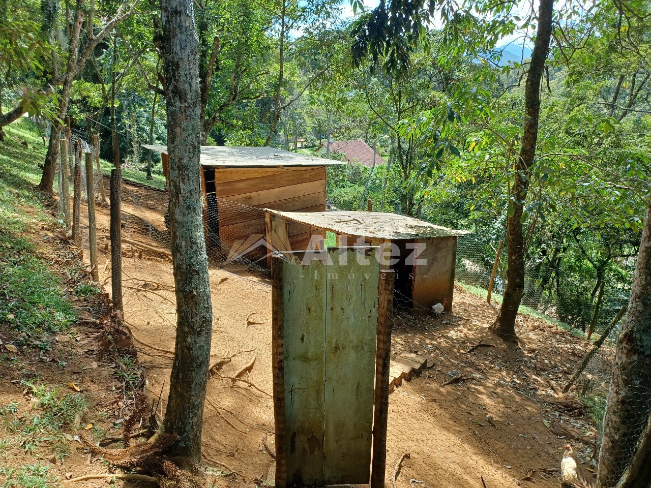 Sítio, 4 quartos, 11 hectares - Foto 61
