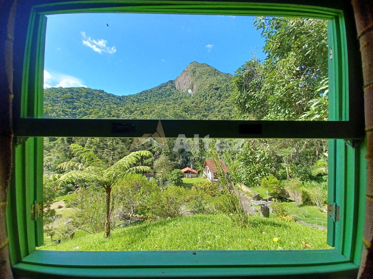 Sítio, 5 quartos, 6 hectares - Foto 31