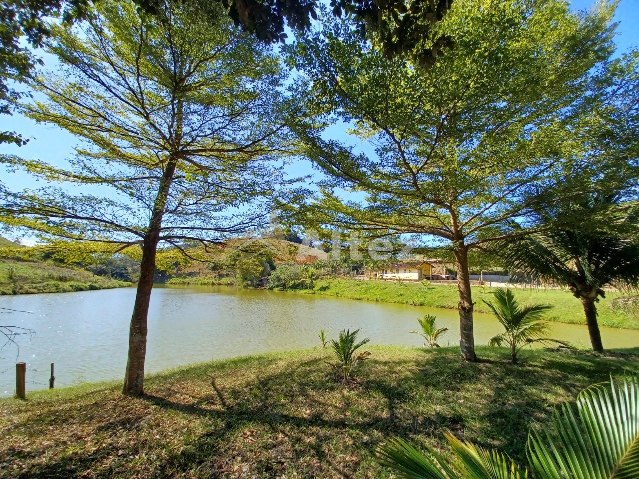 Sítio, 3 quartos, 48 hectares - Foto 21