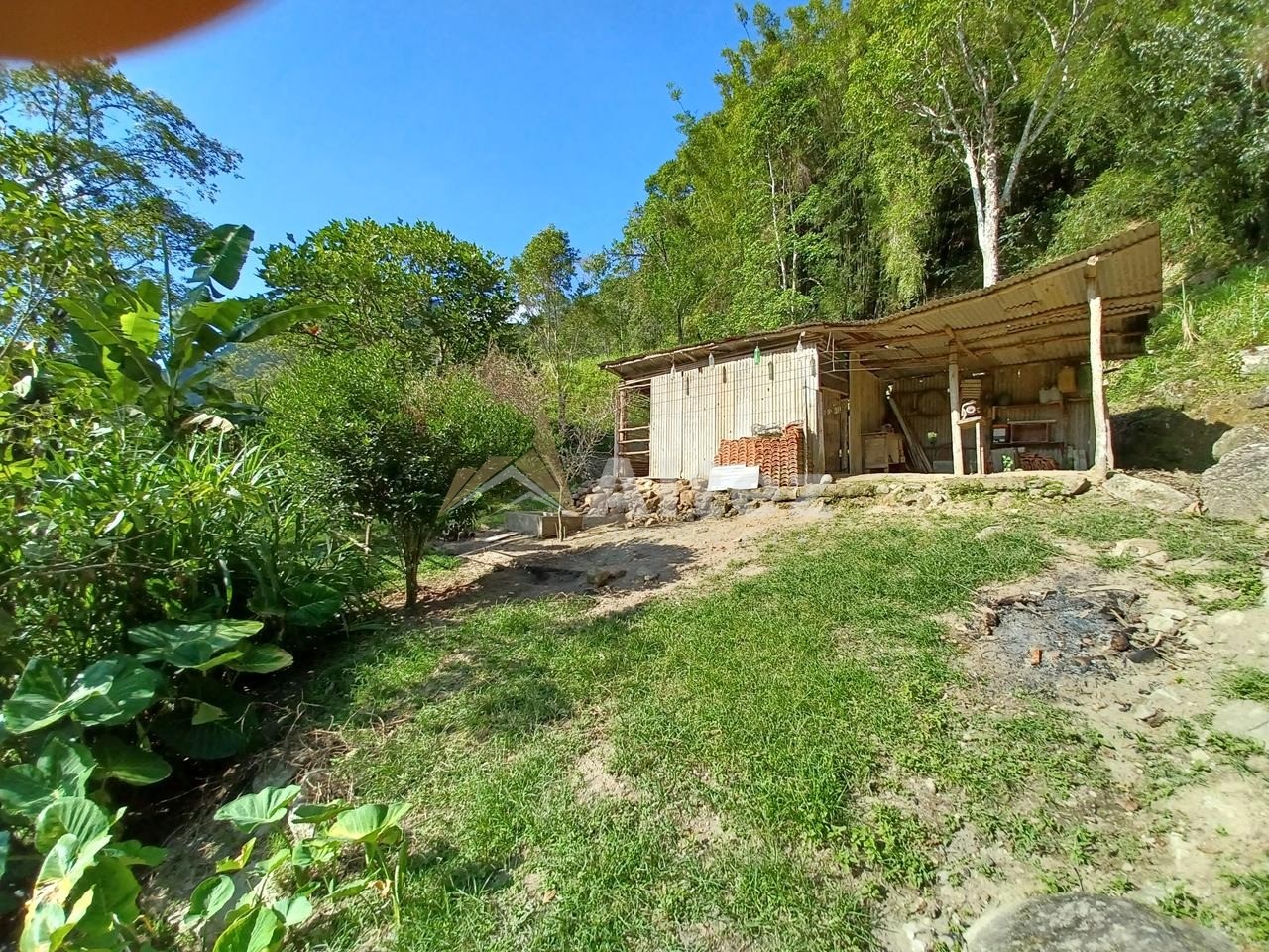 Sítio, 3 quartos, 2 hectares - Foto 32