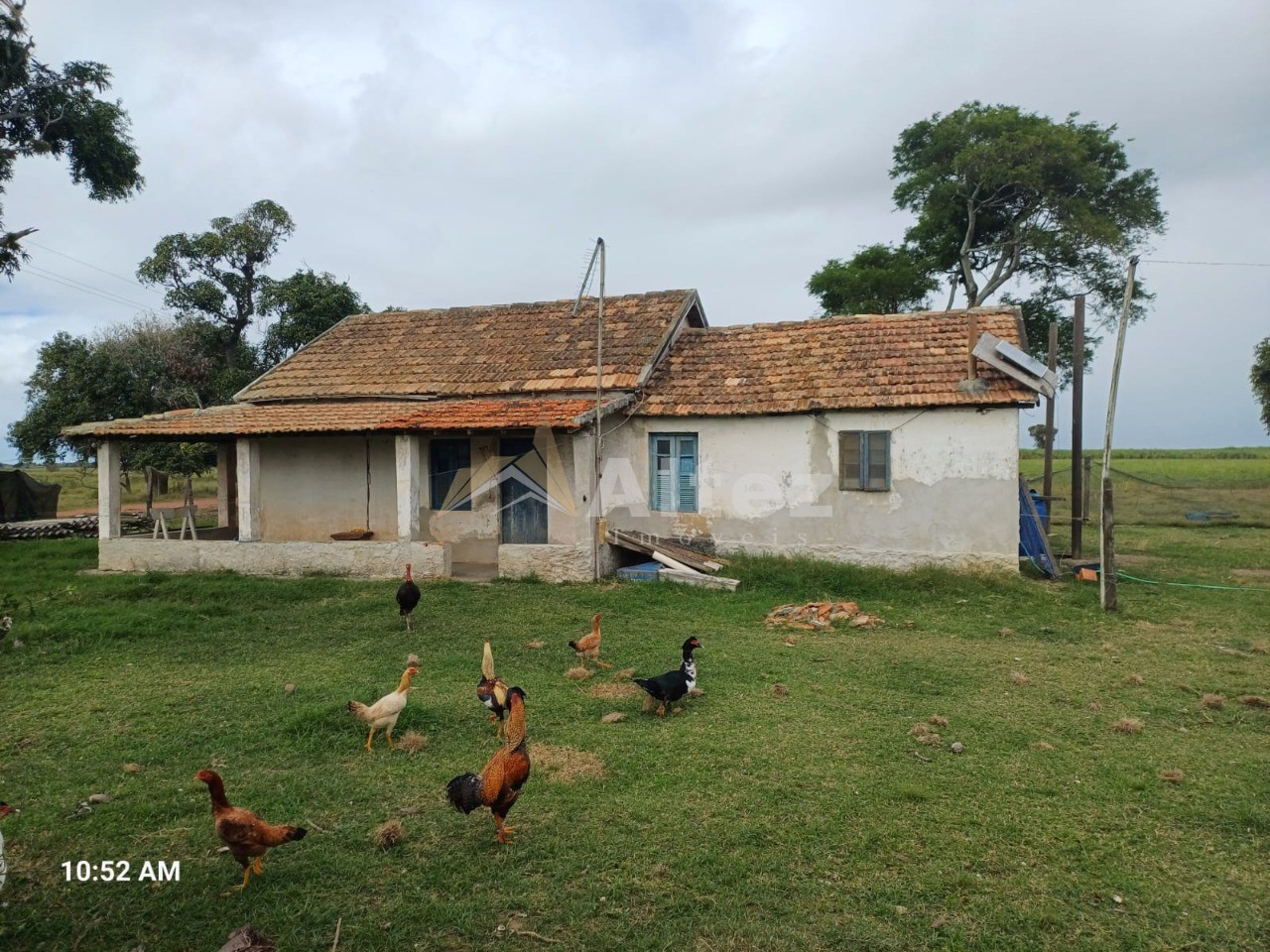 Fazenda, 649 hectares - Foto 7
