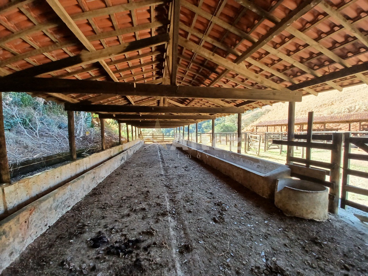 Sítio, 3 quartos, 48 hectares - Foto 40