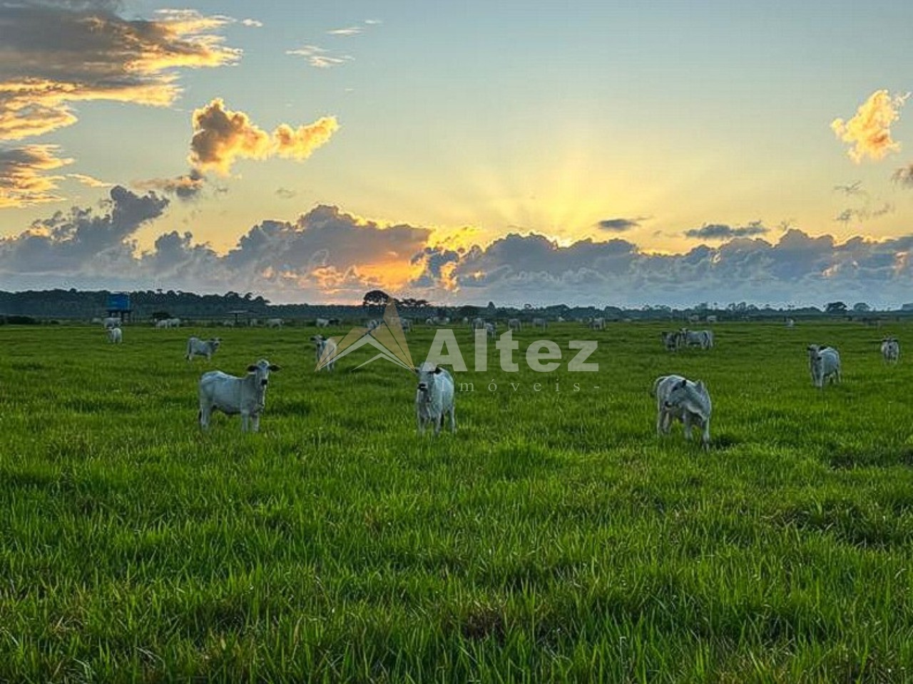 Fazenda, 587 hectares - Foto 1