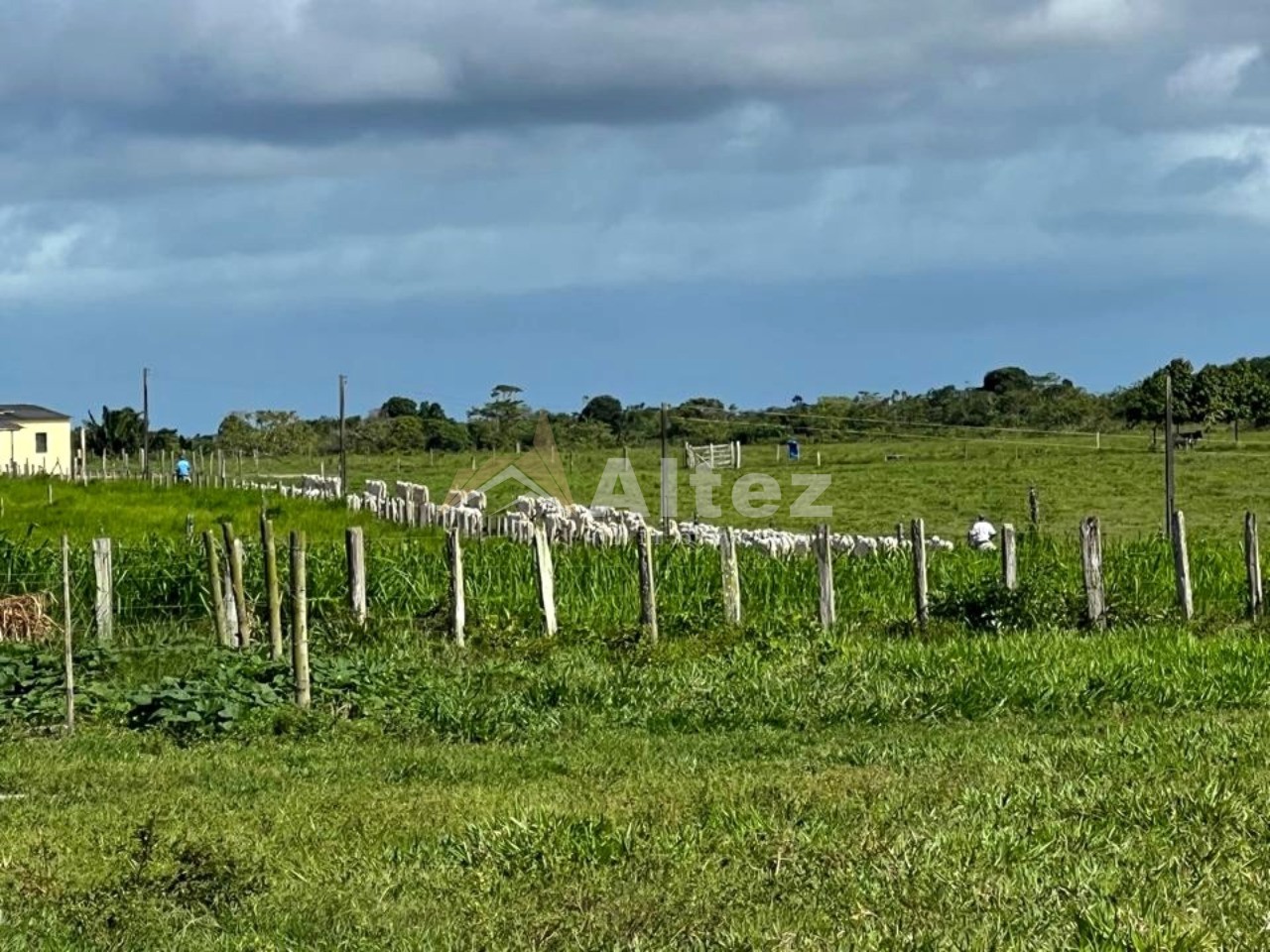 Fazenda, 587 hectares - Foto 7