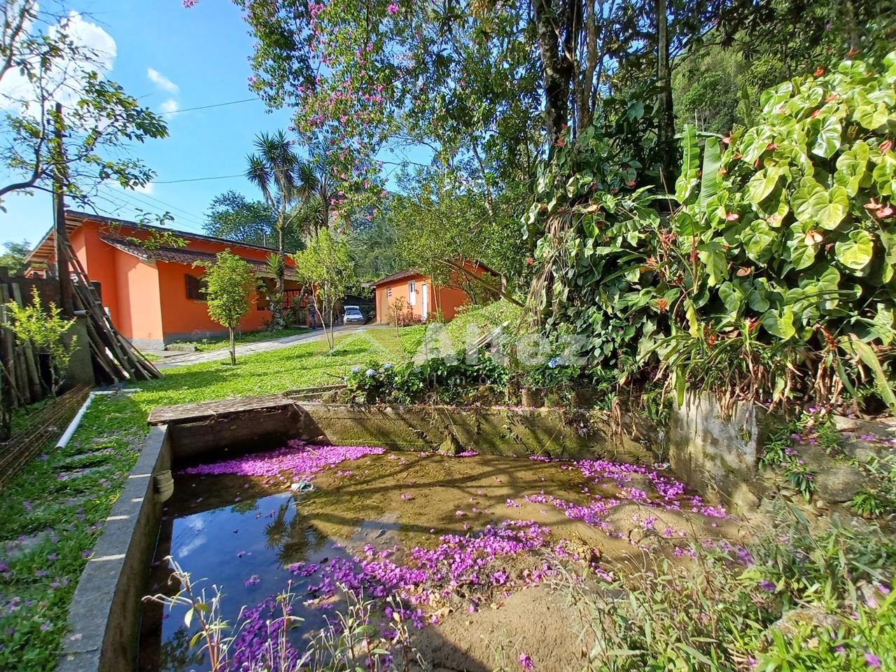 Sítio, 3 quartos, 2 hectares - Foto 34
