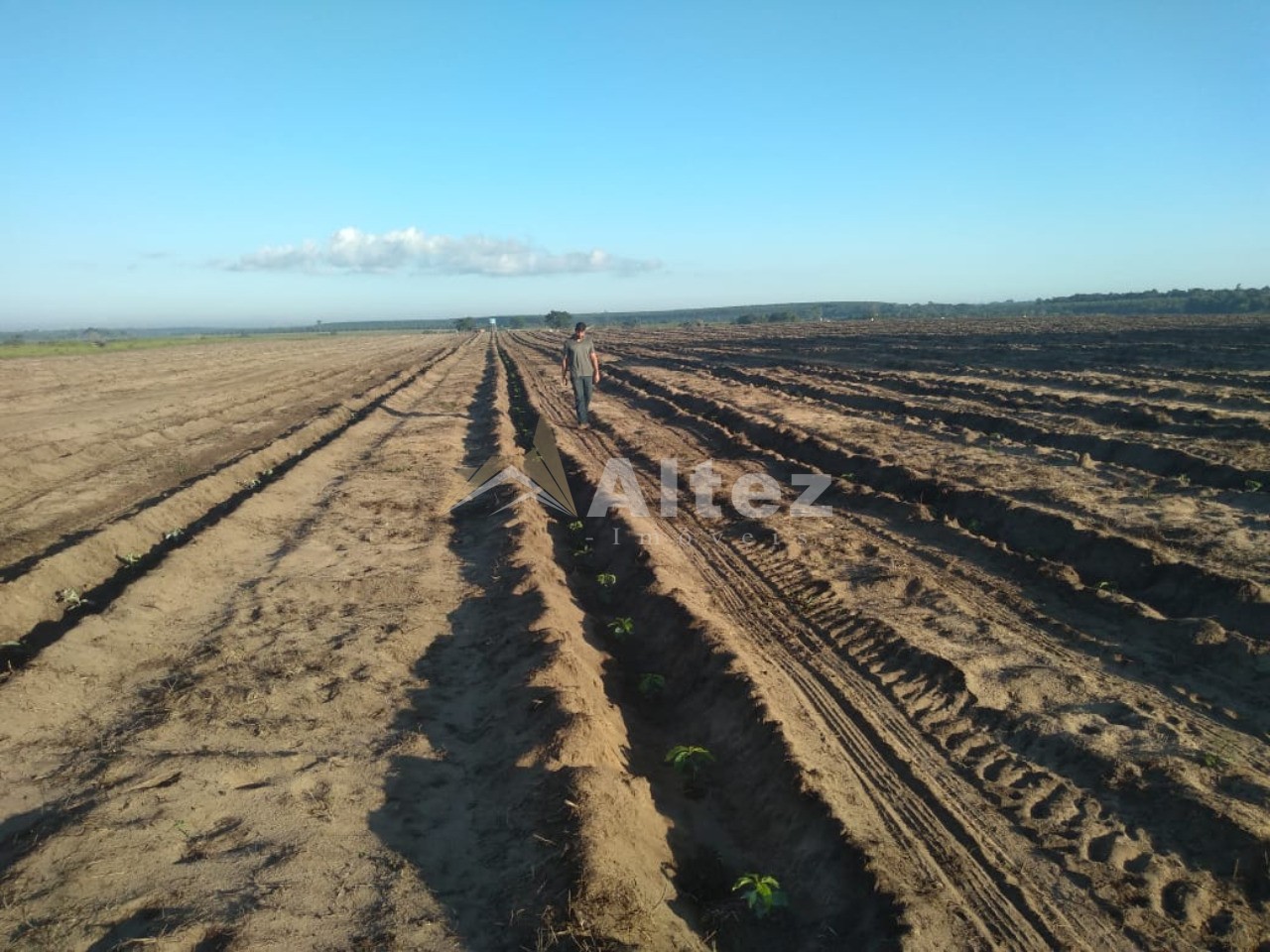 Fazenda, 587 hectares - Foto 16