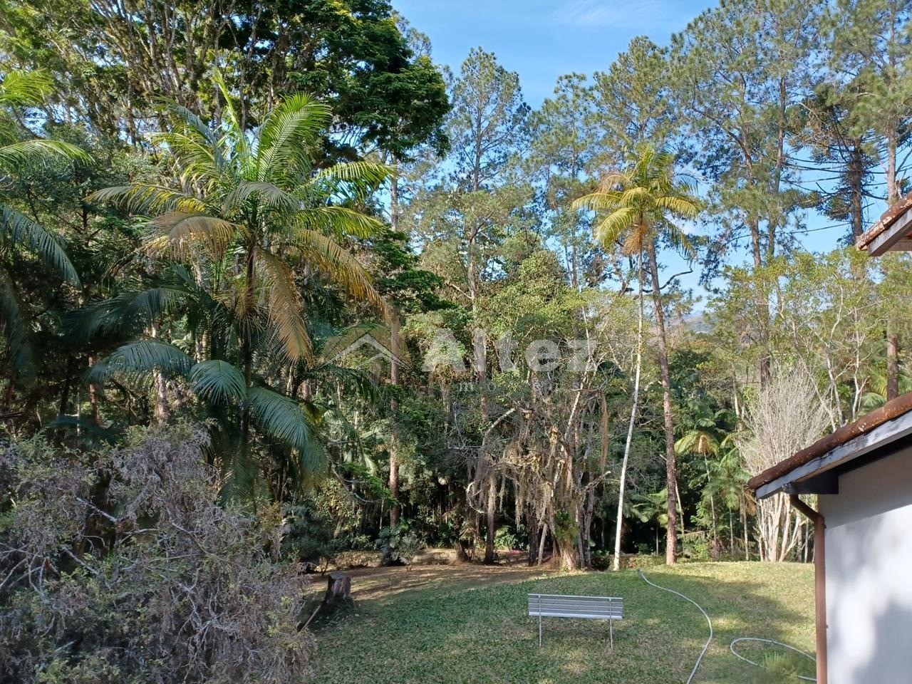 Sítio, 5 quartos, 8 hectares - Foto 35