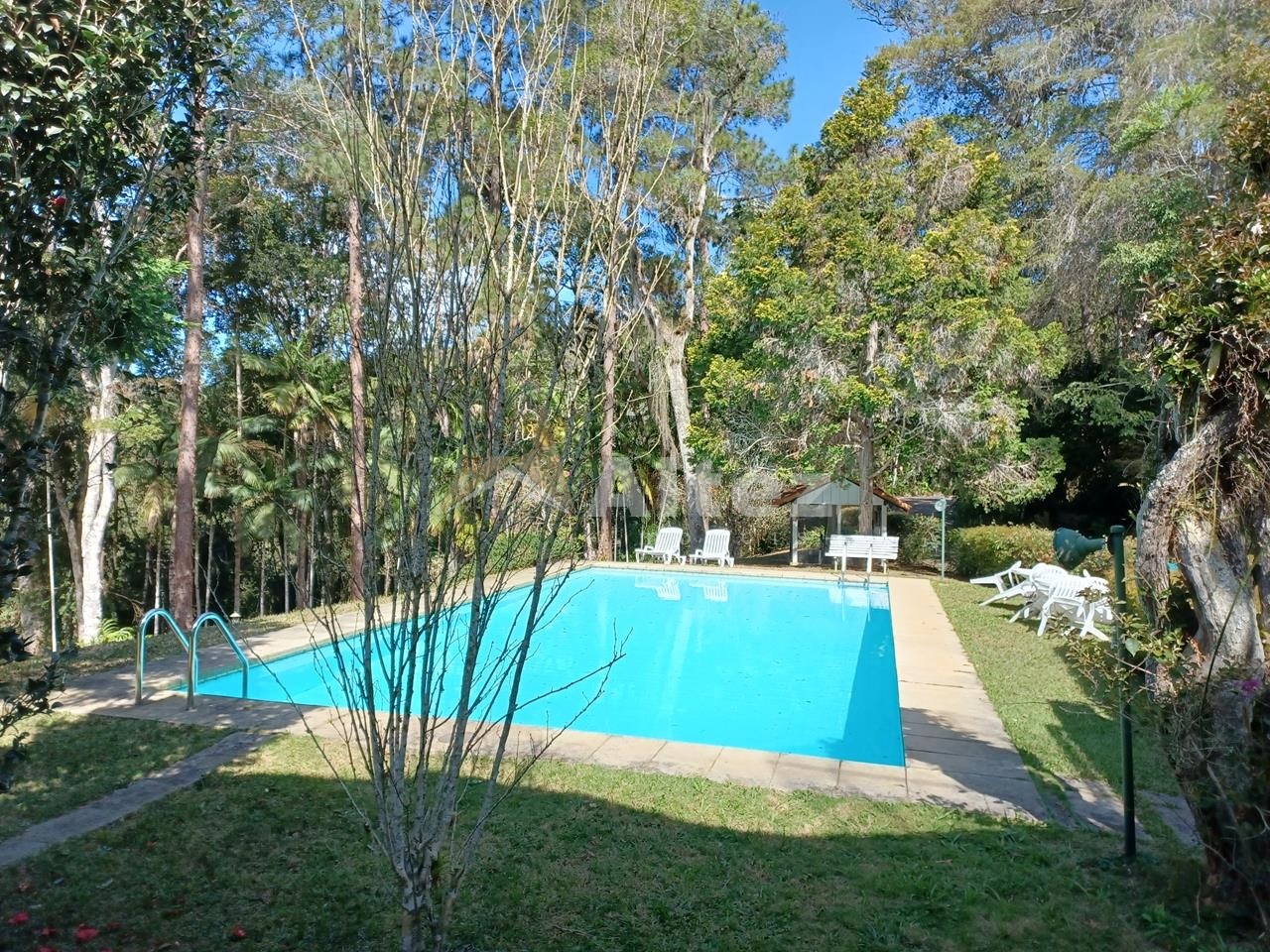 Sítio, 5 quartos, 8 hectares - Foto 6