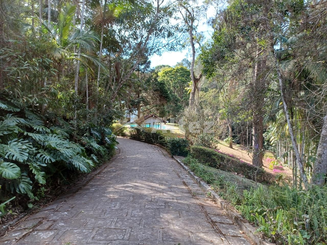 Sítio, 5 quartos, 8 hectares - Foto 79