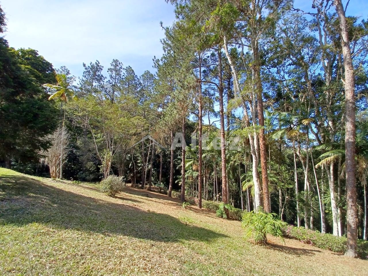 Sítio, 5 quartos, 8 hectares - Foto 47