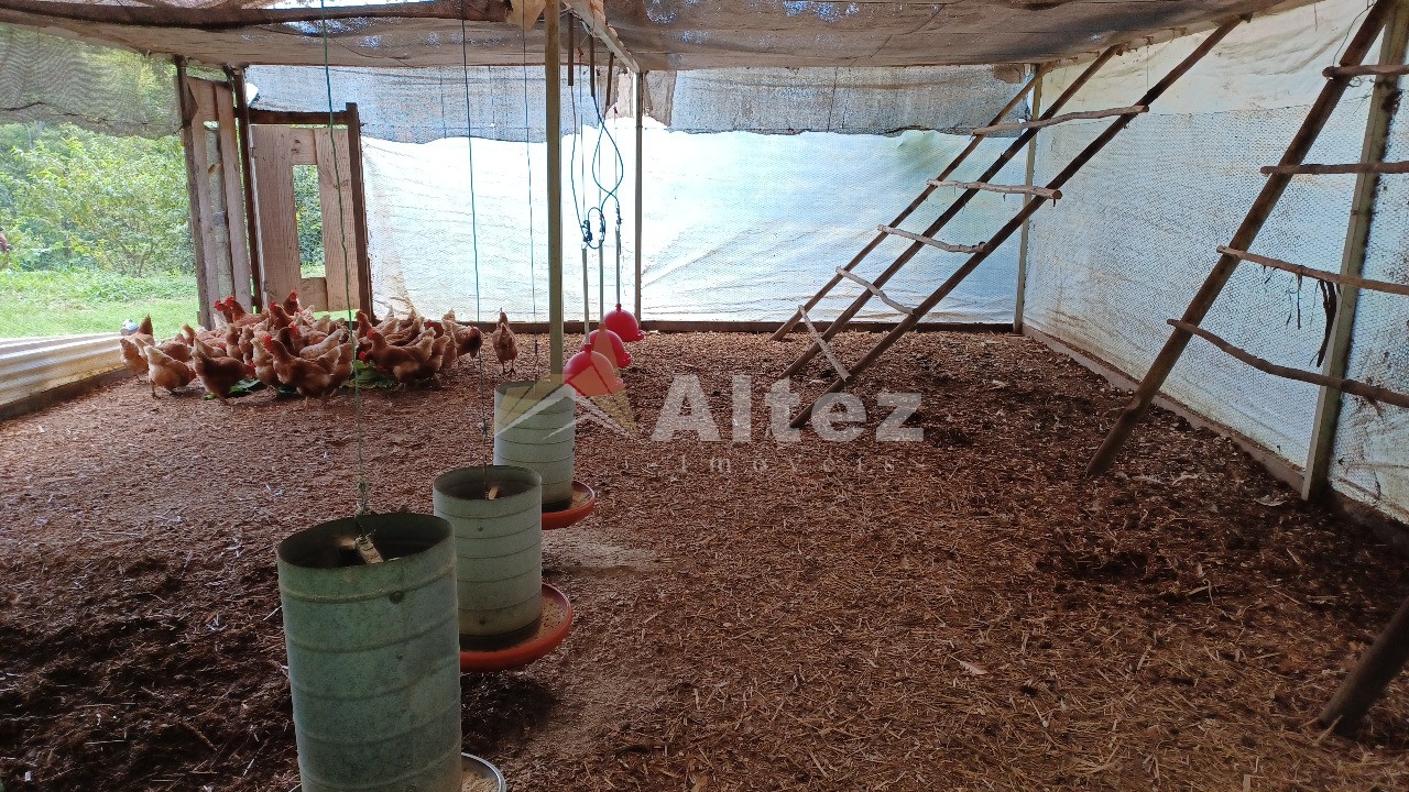 Sítio, 22 quartos, 41 hectares - Foto 41