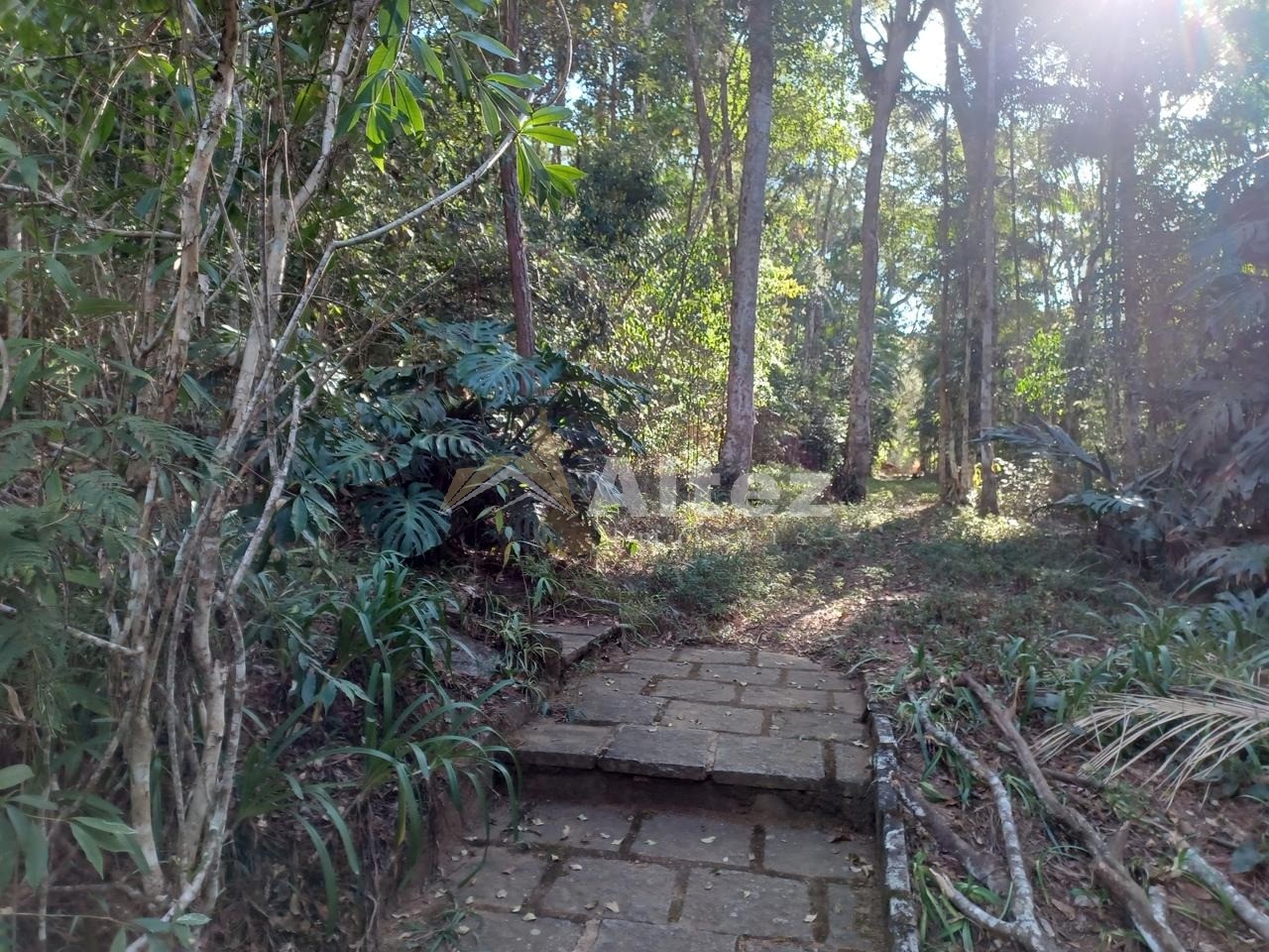 Sítio, 5 quartos, 8 hectares - Foto 84