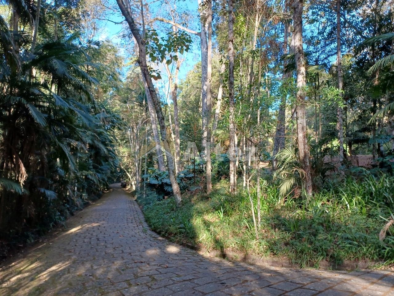Sítio, 5 quartos, 8 hectares - Foto 86