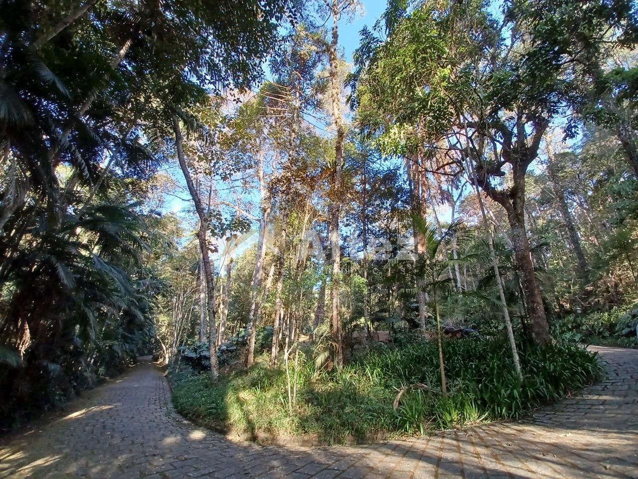 Sítio, 5 quartos, 8 hectares - Foto 87