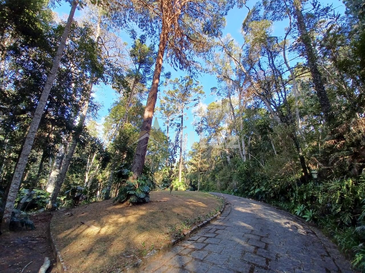 Sítio, 5 quartos, 8 hectares - Foto 85