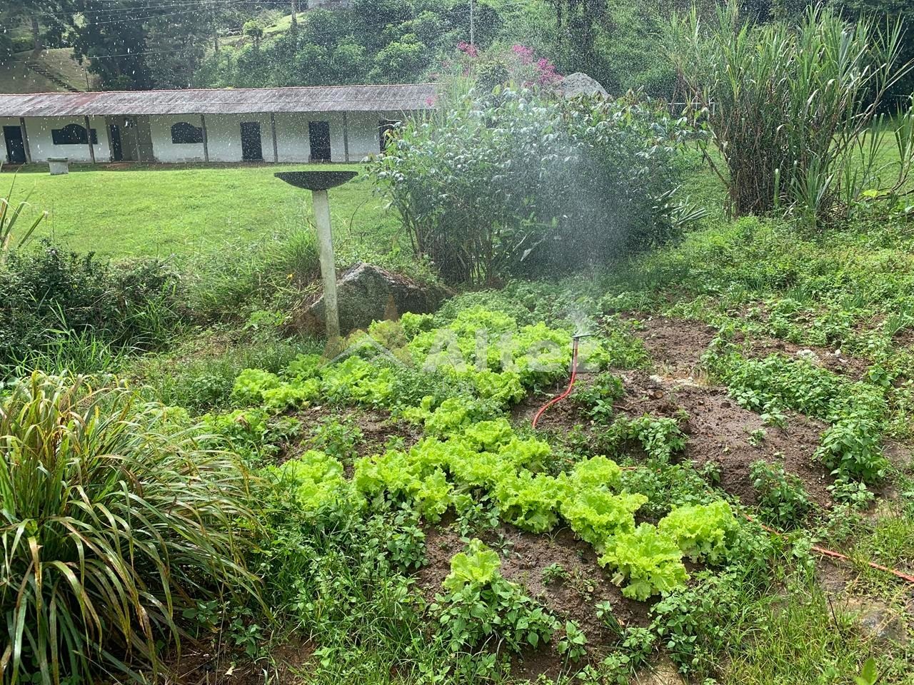 Sítio, 6 quartos, 7 hectares - Foto 91