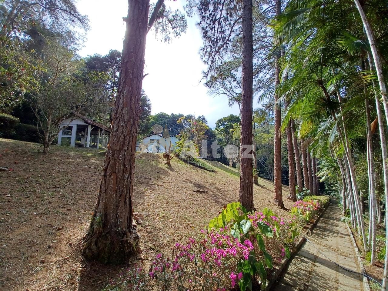 Sítio, 5 quartos, 8 hectares - Foto 81