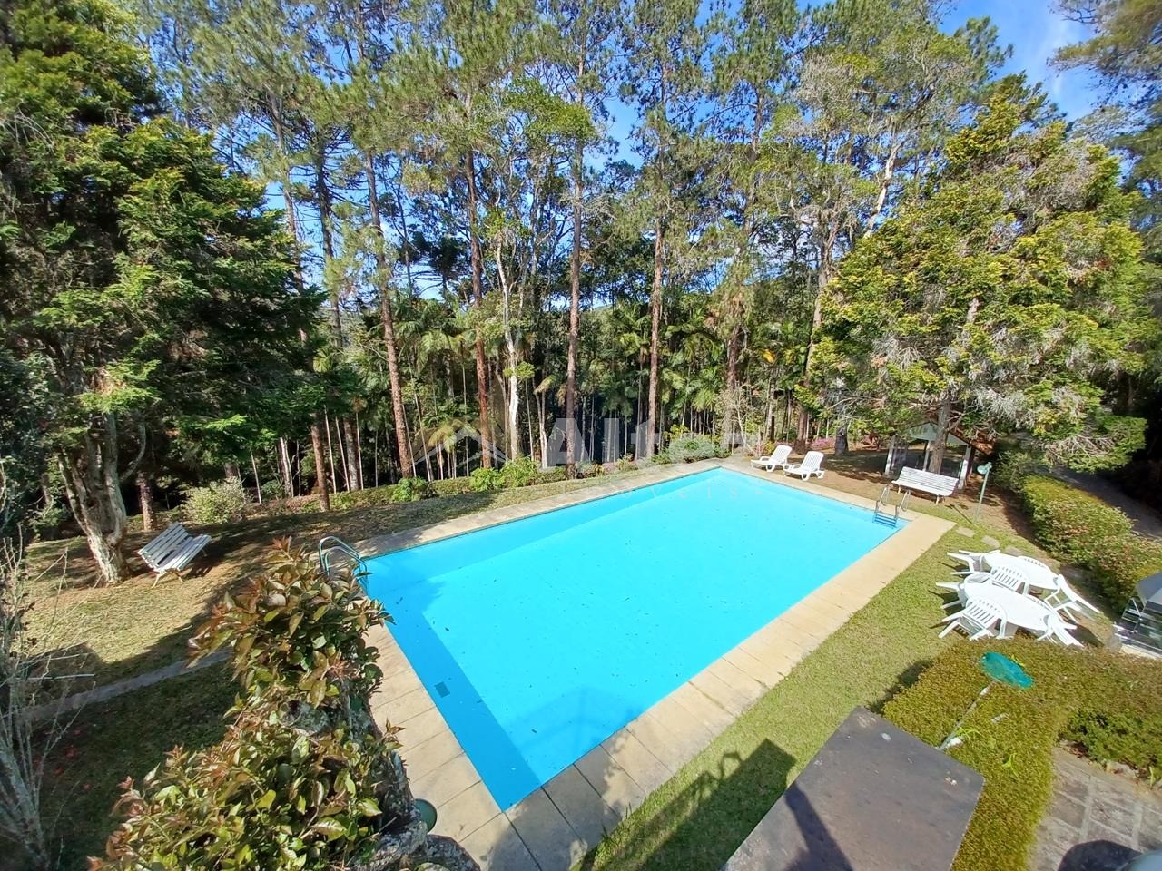 Sítio, 5 quartos, 8 hectares - Foto 25