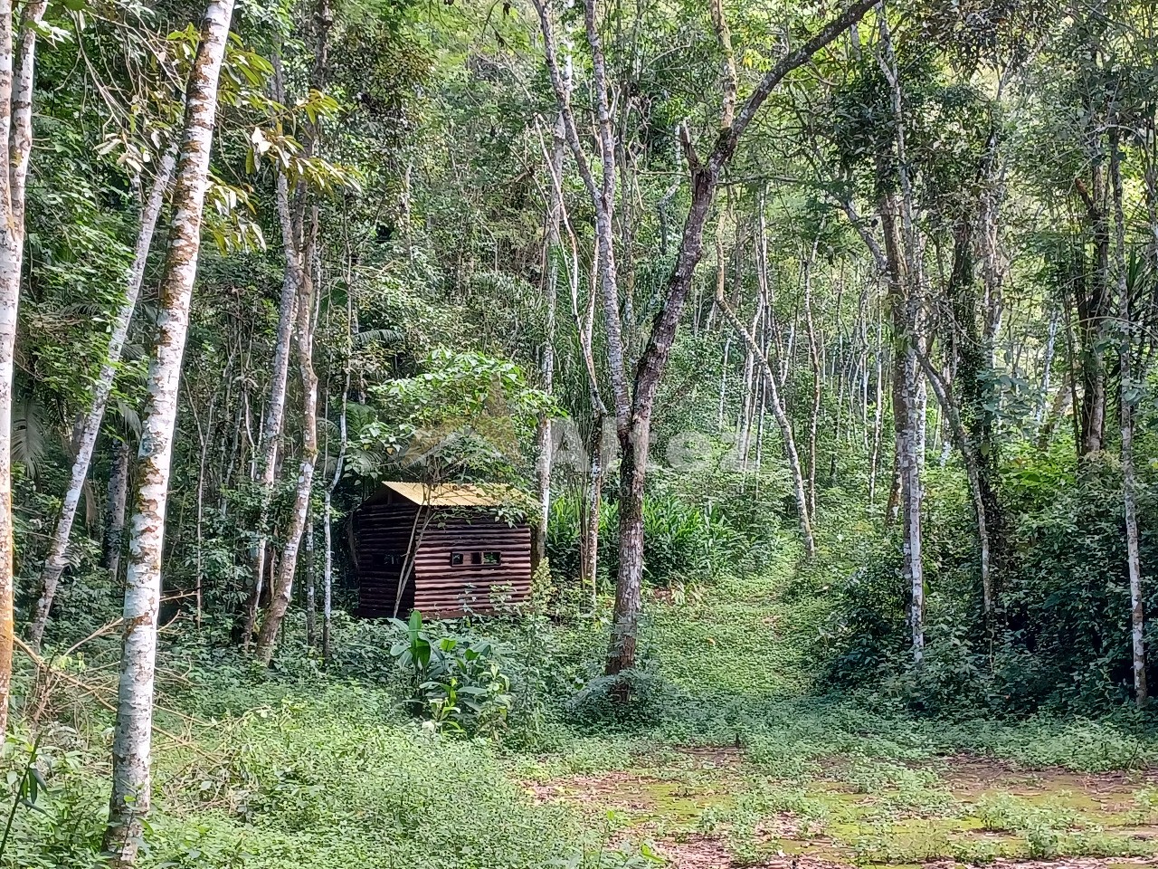 Sítio, 22 quartos, 41 hectares - Foto 40