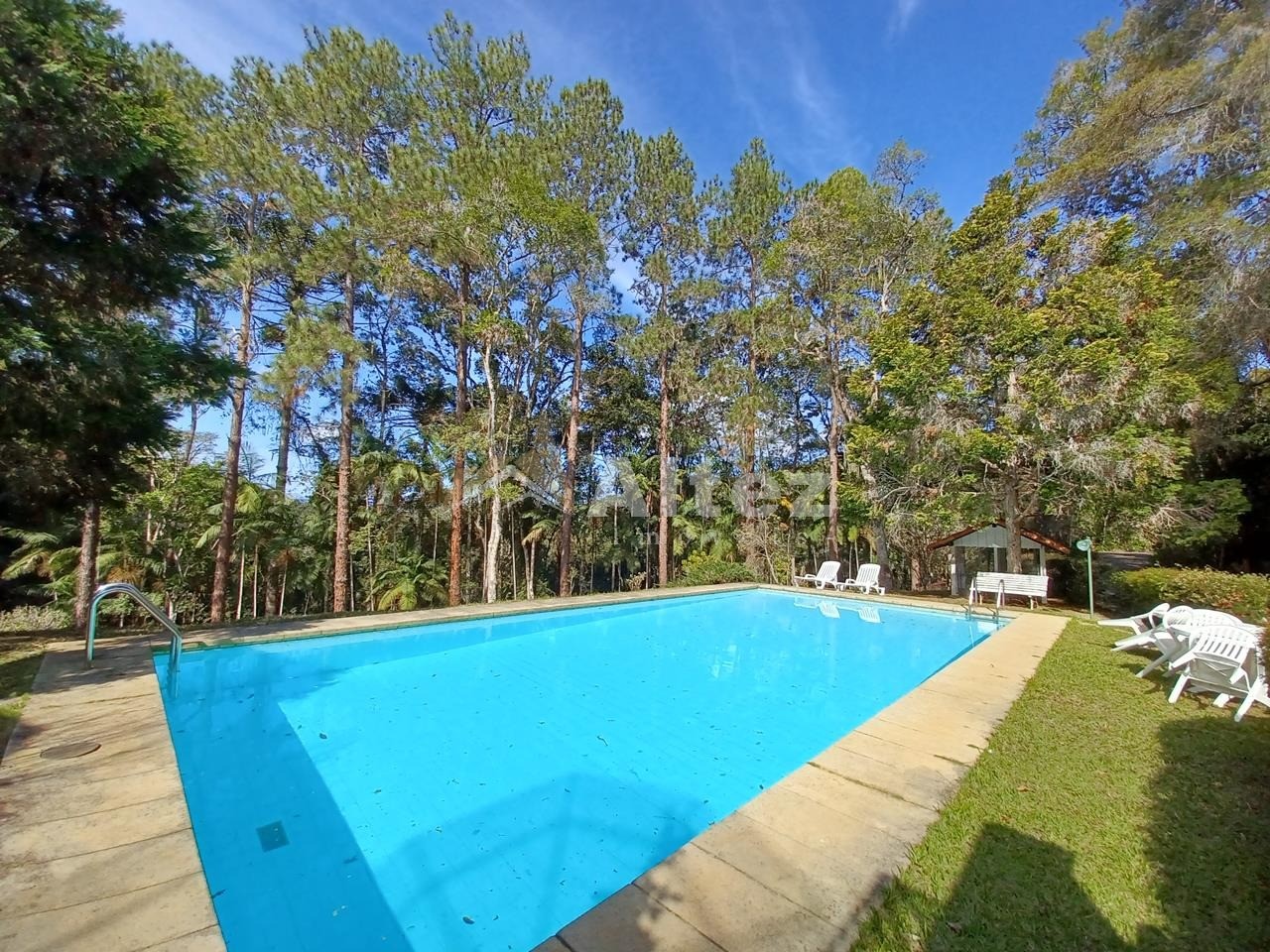 Sítio, 5 quartos, 8 hectares - Foto 45