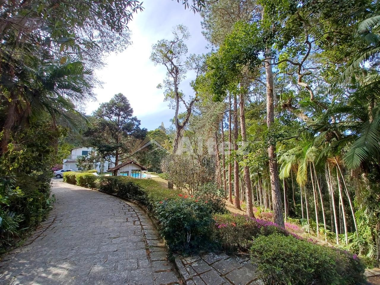Sítio, 5 quartos, 8 hectares - Foto 80