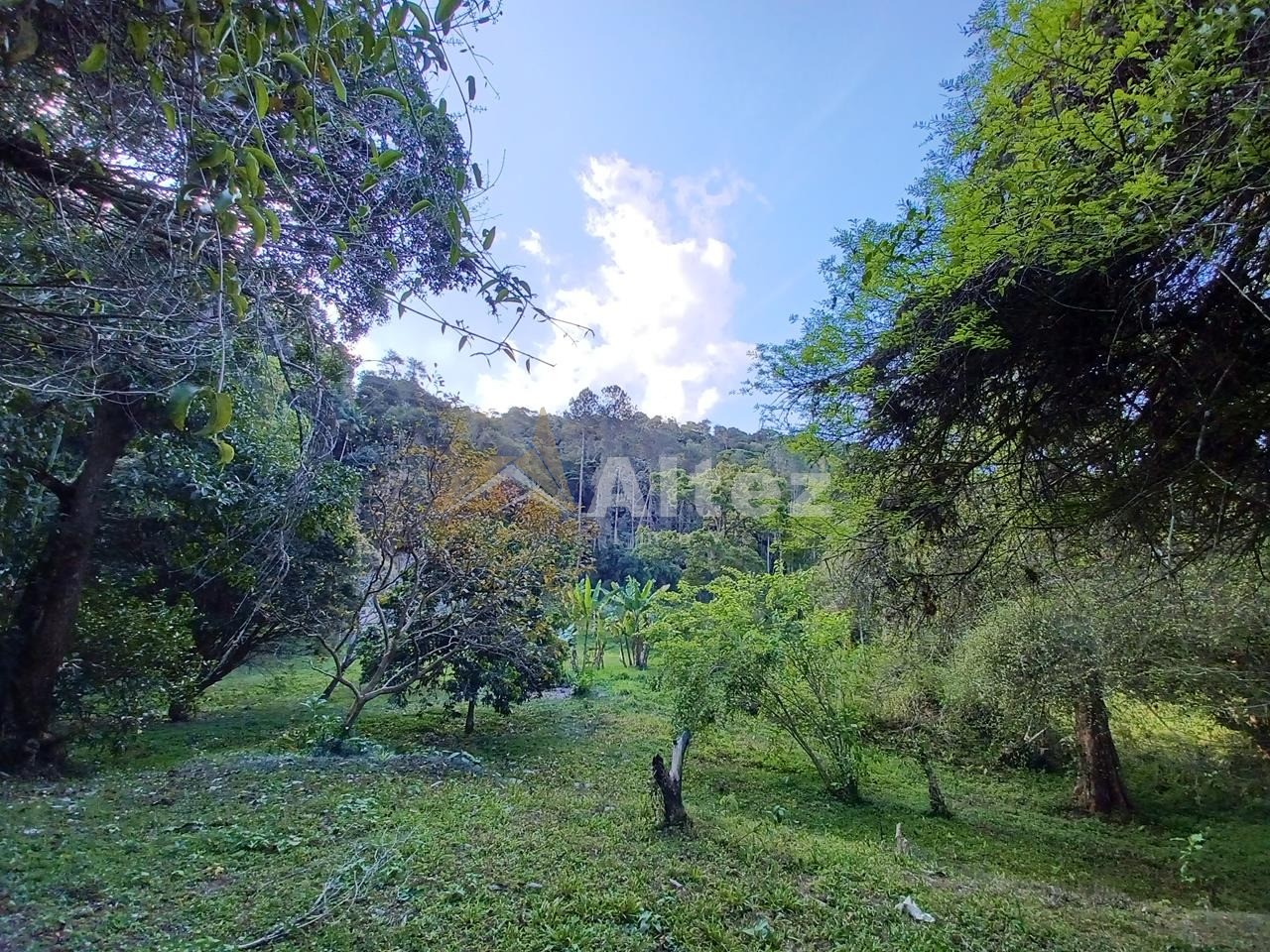 Sítio, 5 quartos, 8 hectares - Foto 89