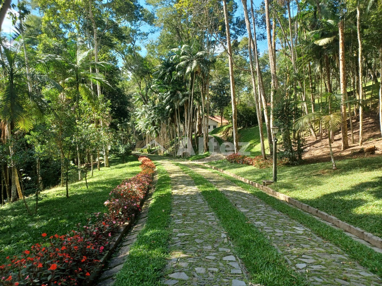 Sítio, 6 quartos, 22 hectares - Foto 90
