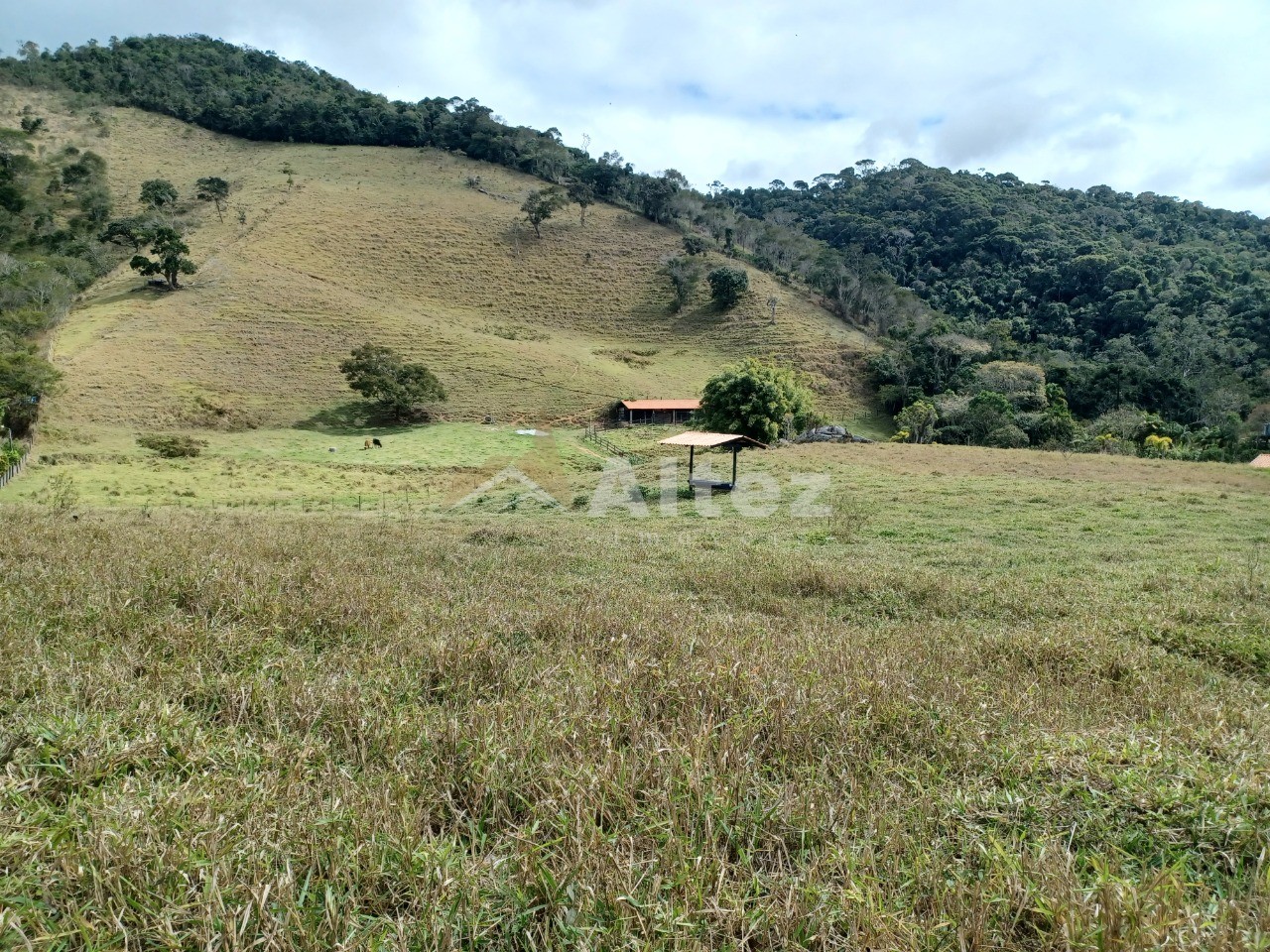 Sítio, 1 quarto, 7 hectares - Foto 17