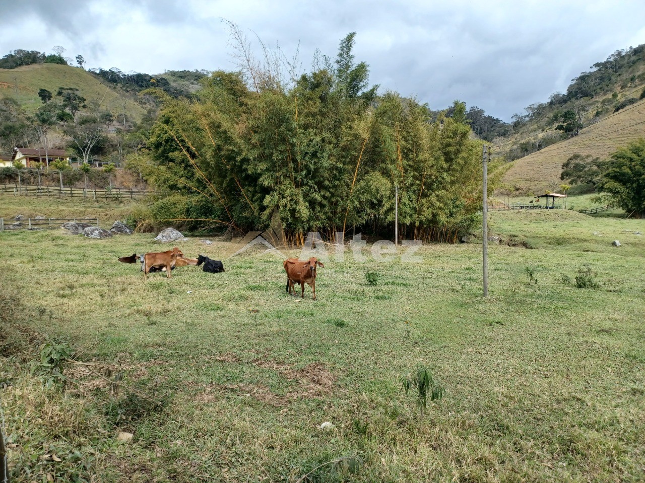 Sítio, 1 quarto, 7 hectares - Foto 5