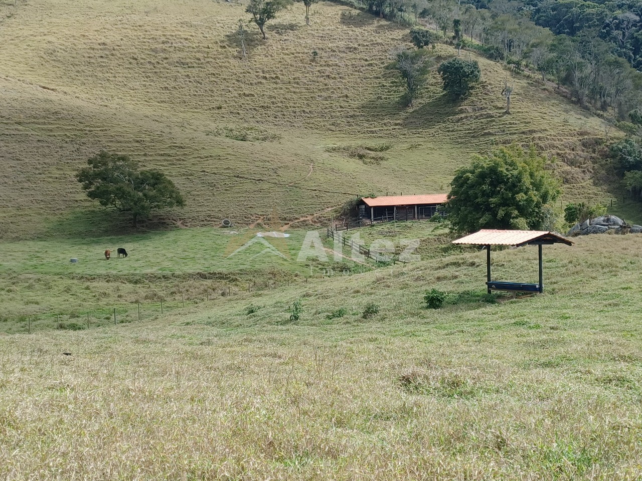 Sítio, 1 quarto, 7 hectares - Foto 15