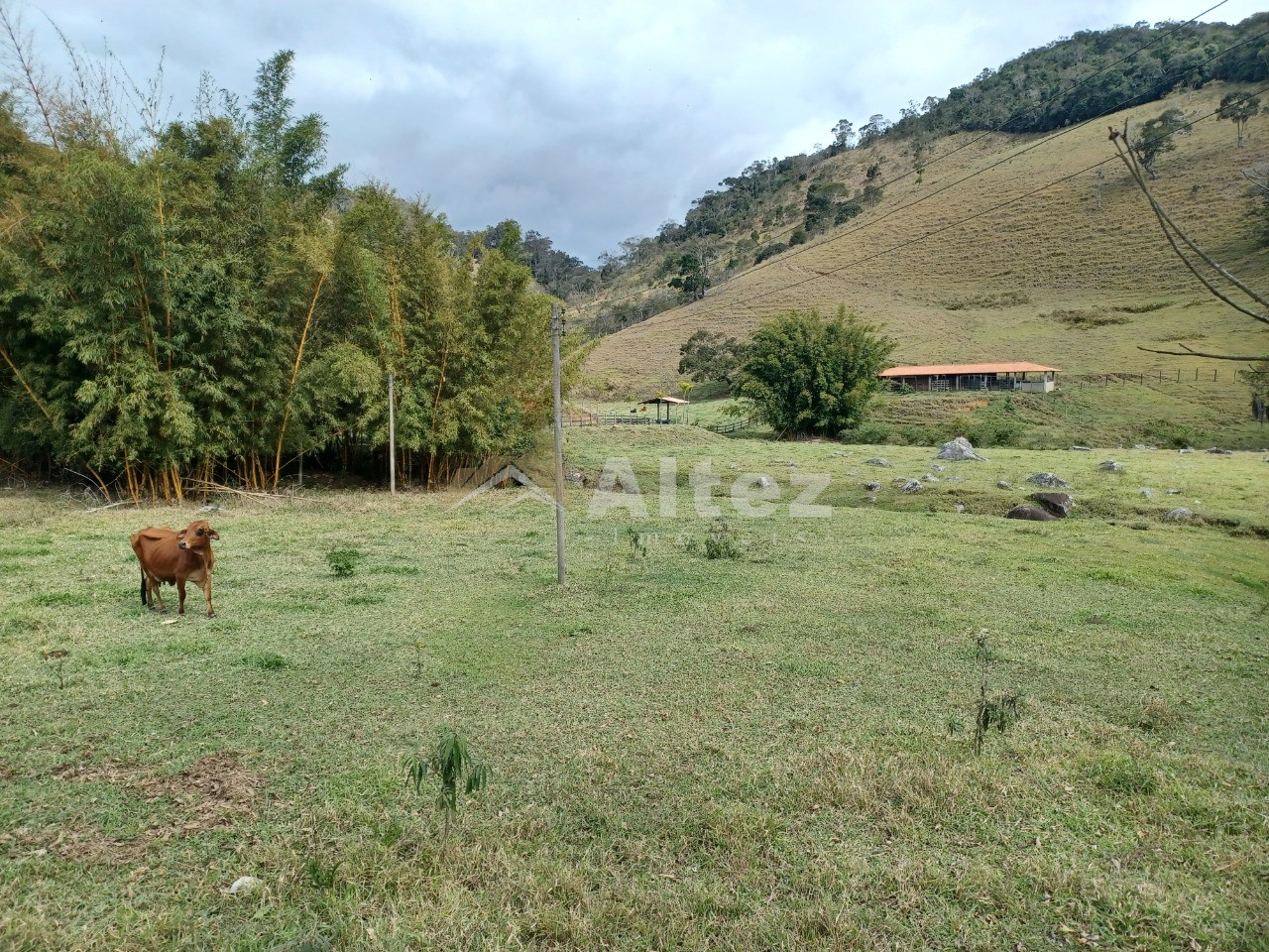 Sítio, 1 quarto, 7 hectares - Foto 4