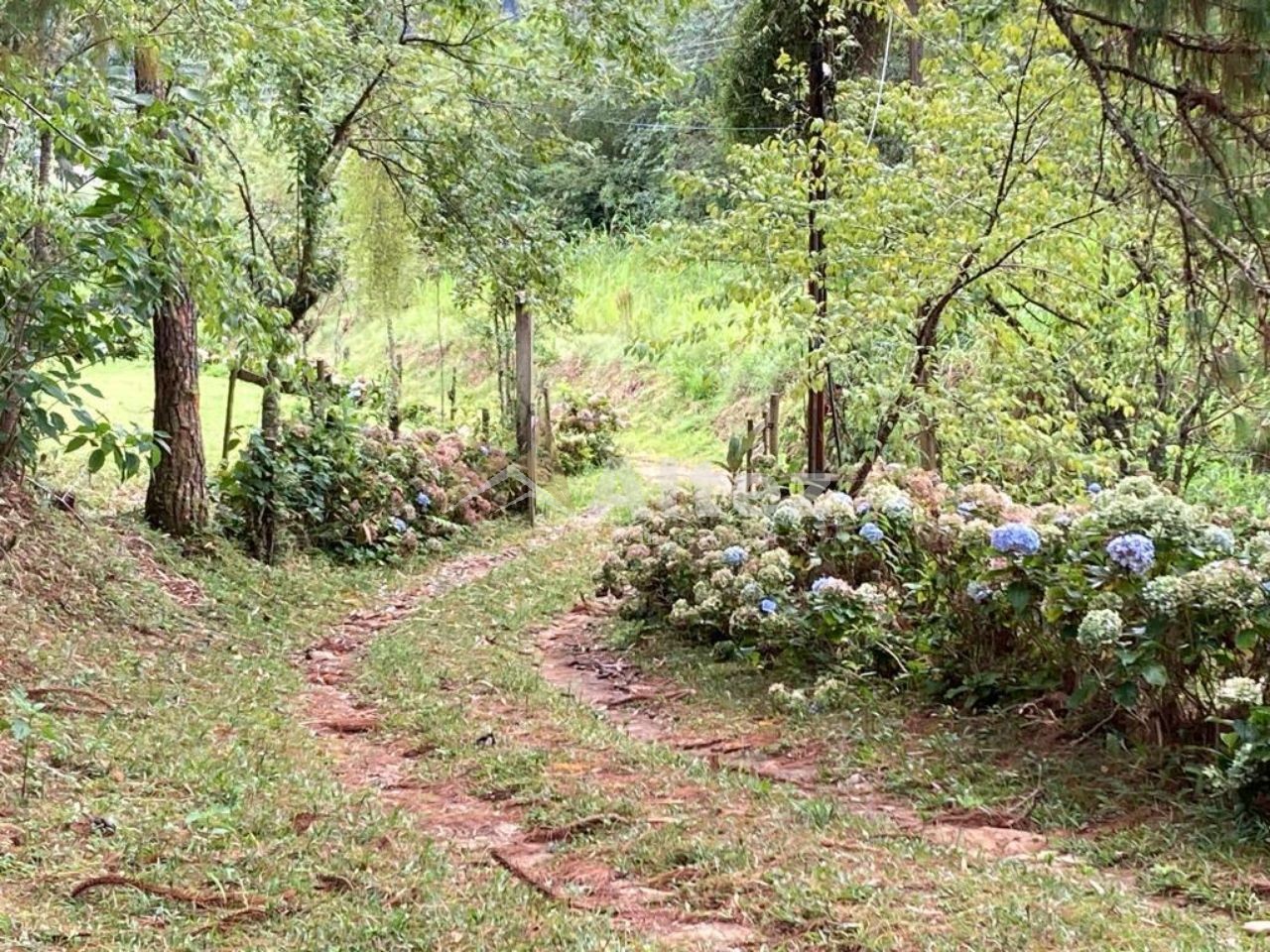 Sítio, 6 quartos, 54 hectares - Foto 37