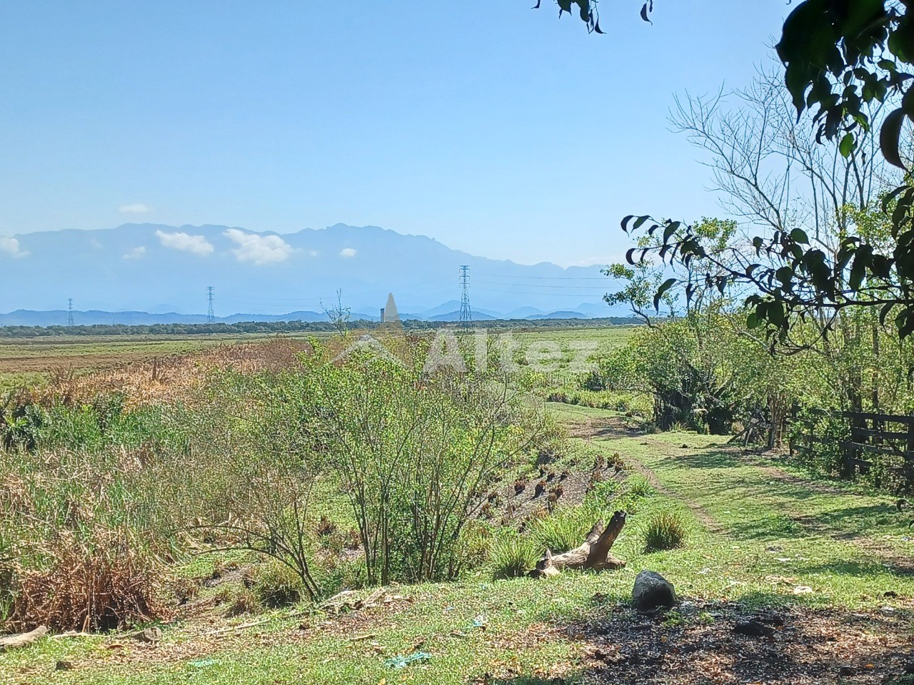 Fazenda, 315 hectares - Foto 4