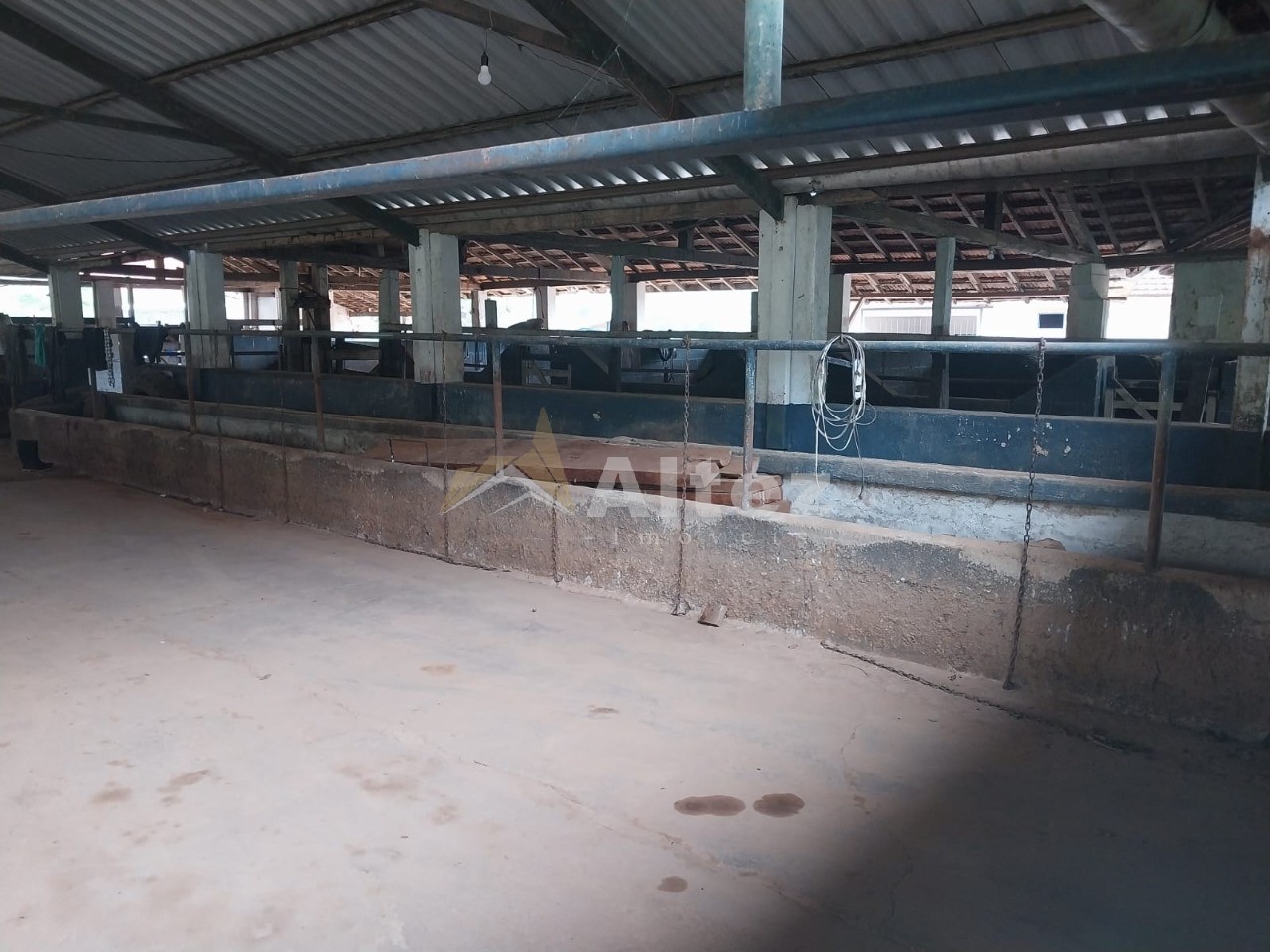 Fazenda, 226 hectares - Foto 10