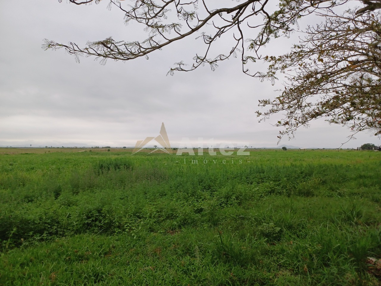Fazenda, 847 hectares - Foto 7