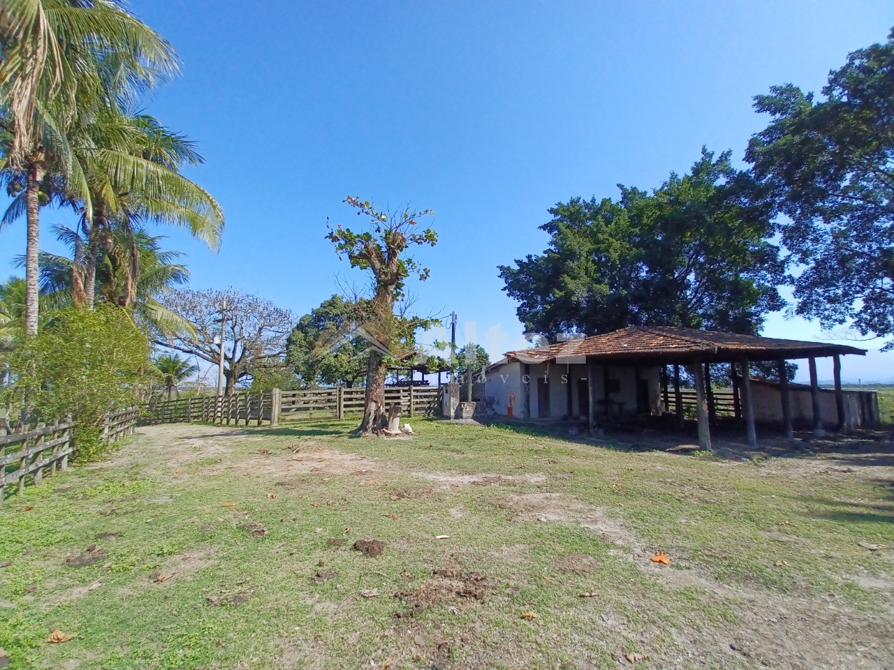 Fazenda, 315 hectares - Foto 23
