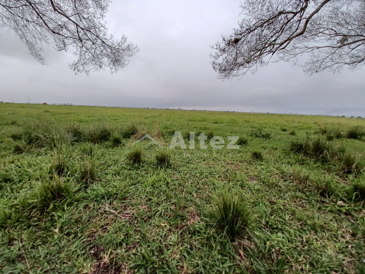 Fazenda, 847 hectares - Foto 9