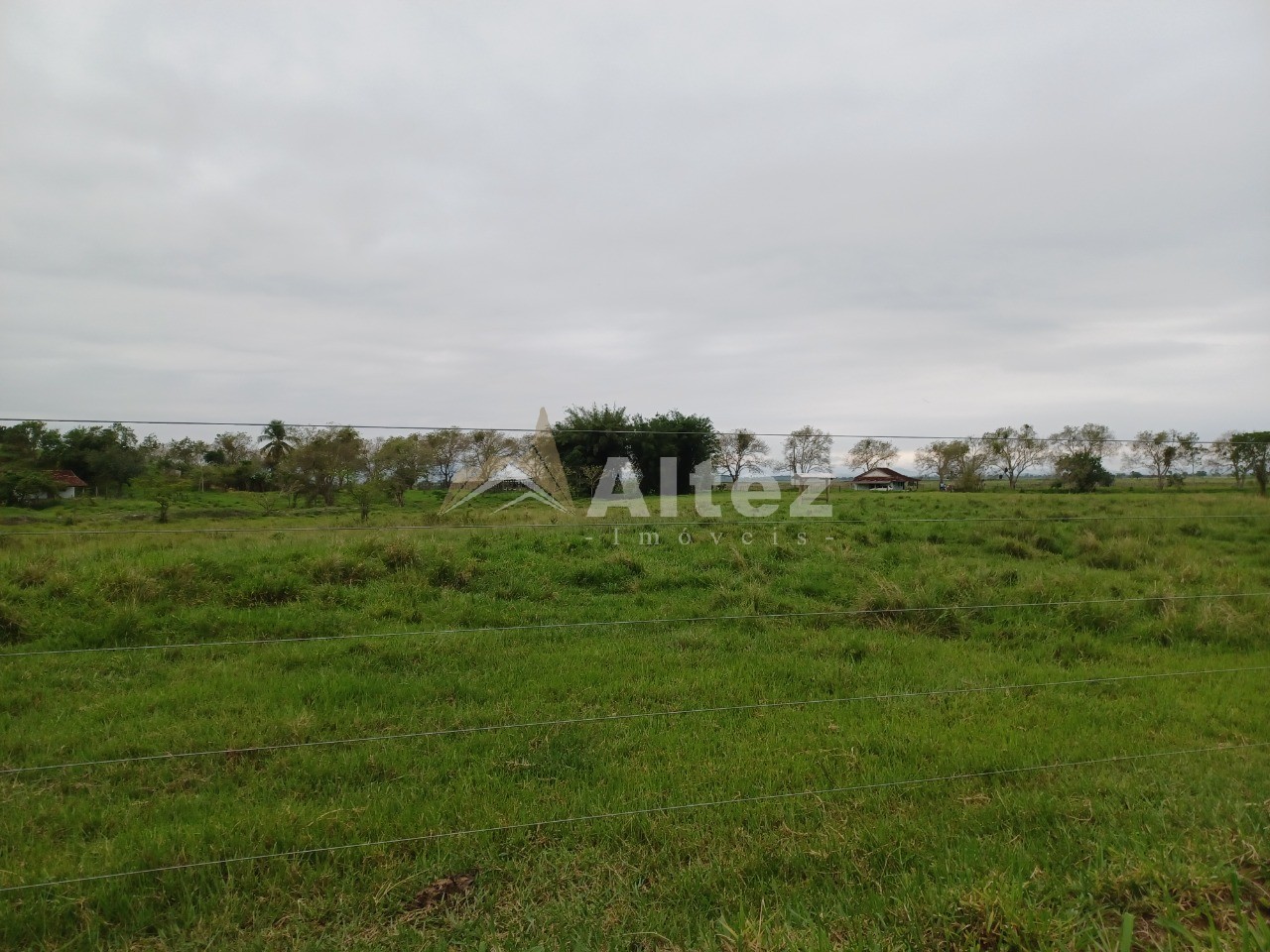 Fazenda, 847 hectares - Foto 5