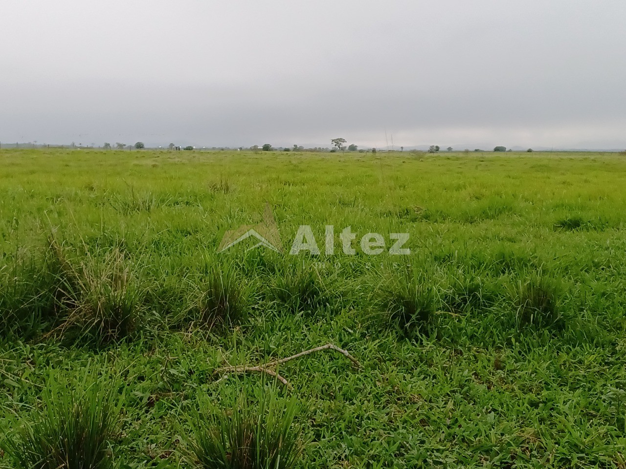 Fazenda, 847 hectares - Foto 10