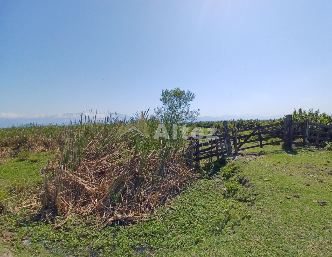 Fazenda, 315 hectares - Foto 8