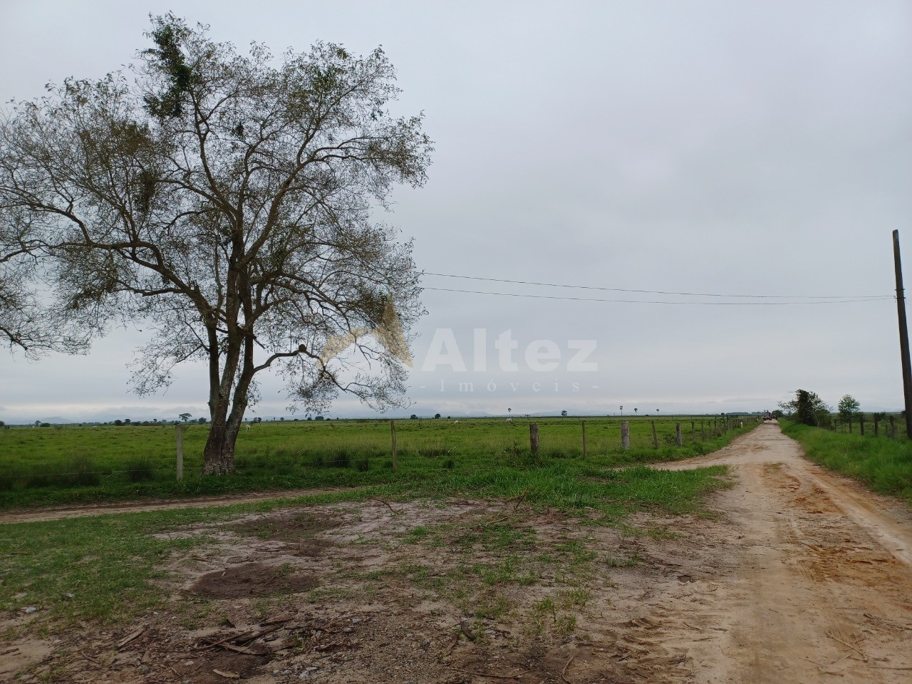 Fazenda, 847 hectares - Foto 6