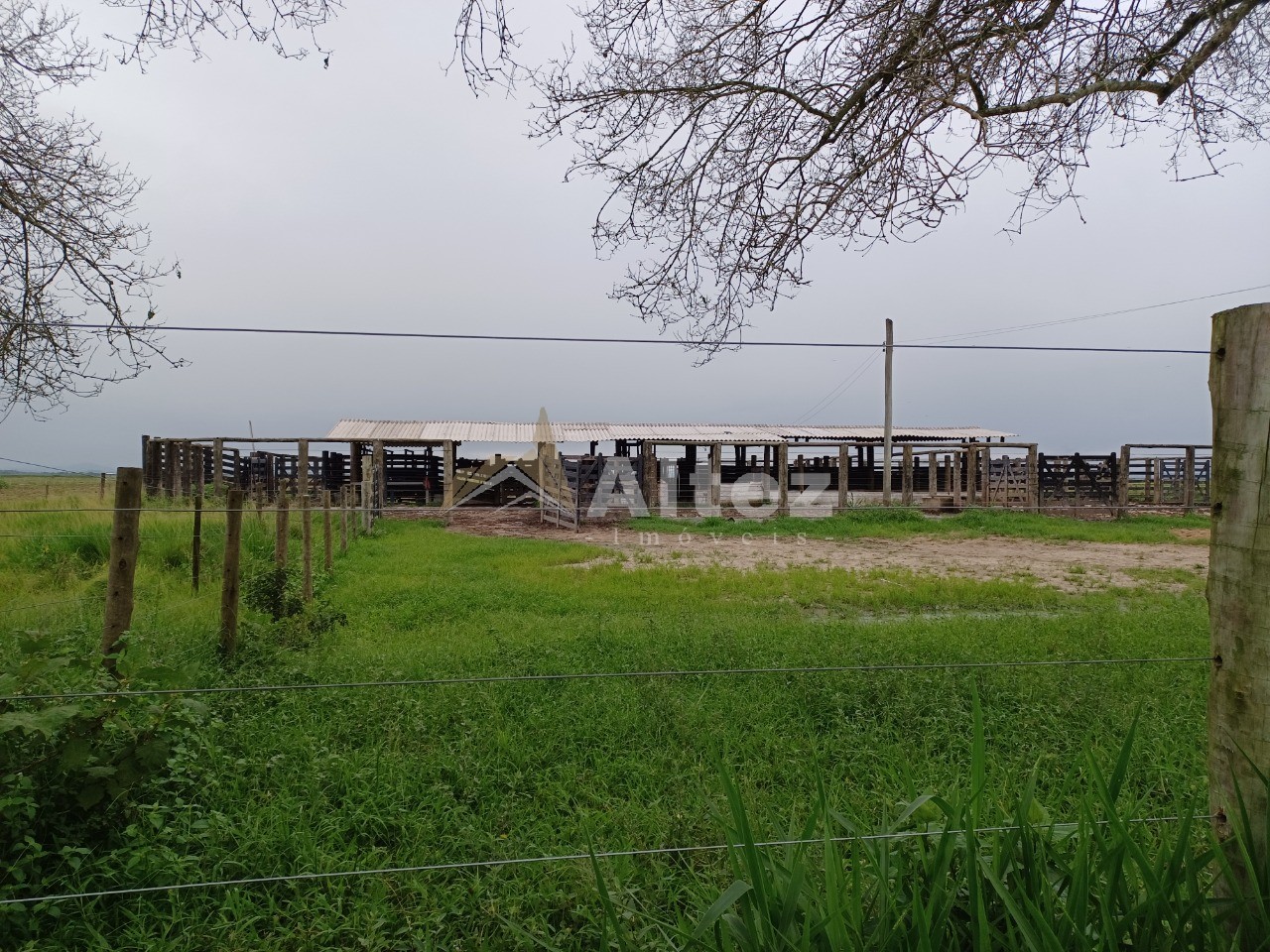 Fazenda, 847 hectares - Foto 2