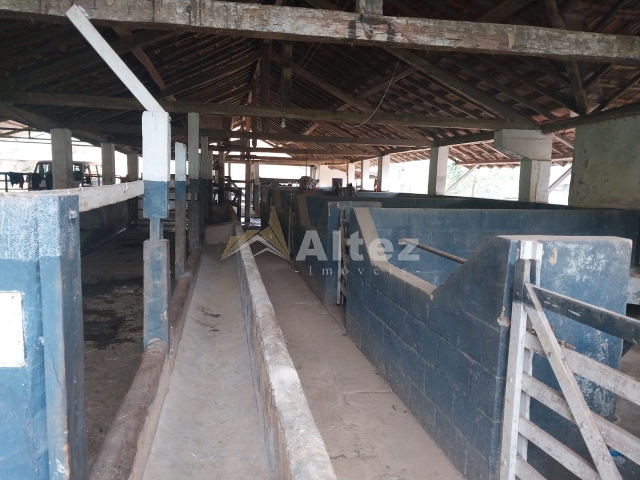 Fazenda, 226 hectares - Foto 11